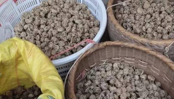 番禺正宗马蹄粉,番禺马蹄粉做法