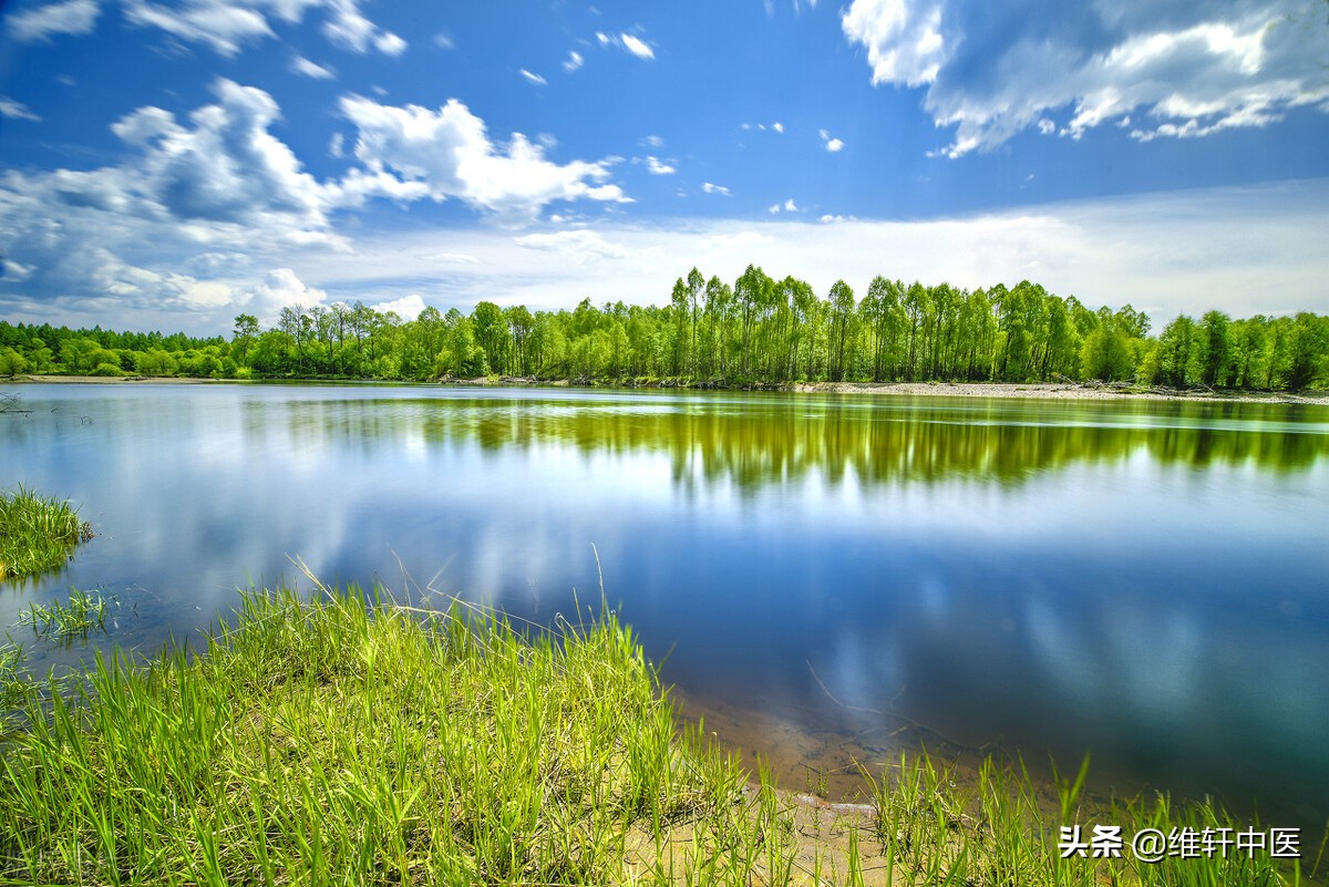 新黄帝内经王氏中医踩跷法“九通治则”篇