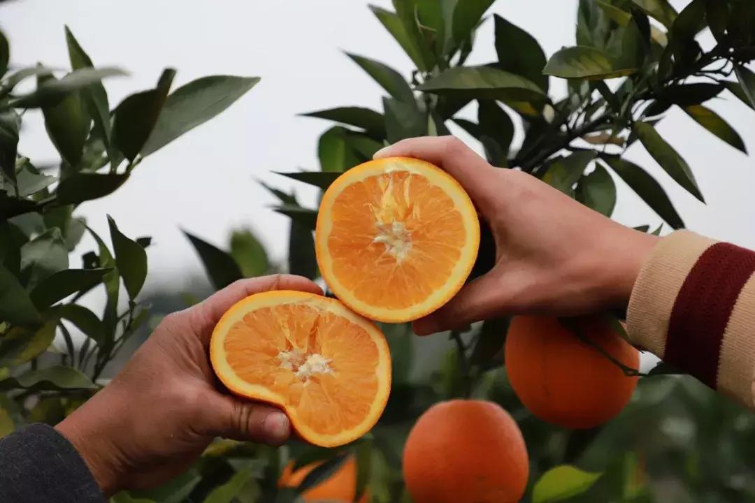 这一生必须去一次的地方,这一生要去一次丽江