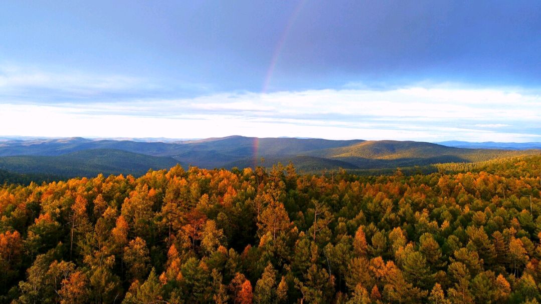 杨万里两首蕴含人生哲理的小诗,清新自然,极富趣味,值得一读