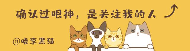 猫咪清洁耳螨如何不伤耳朵,猫耳朵清理需要注意什么