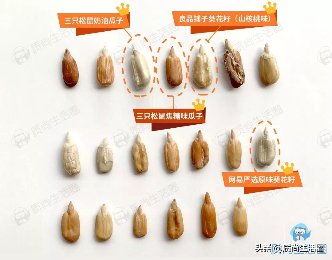 20种口味瓜子,20种瓜子