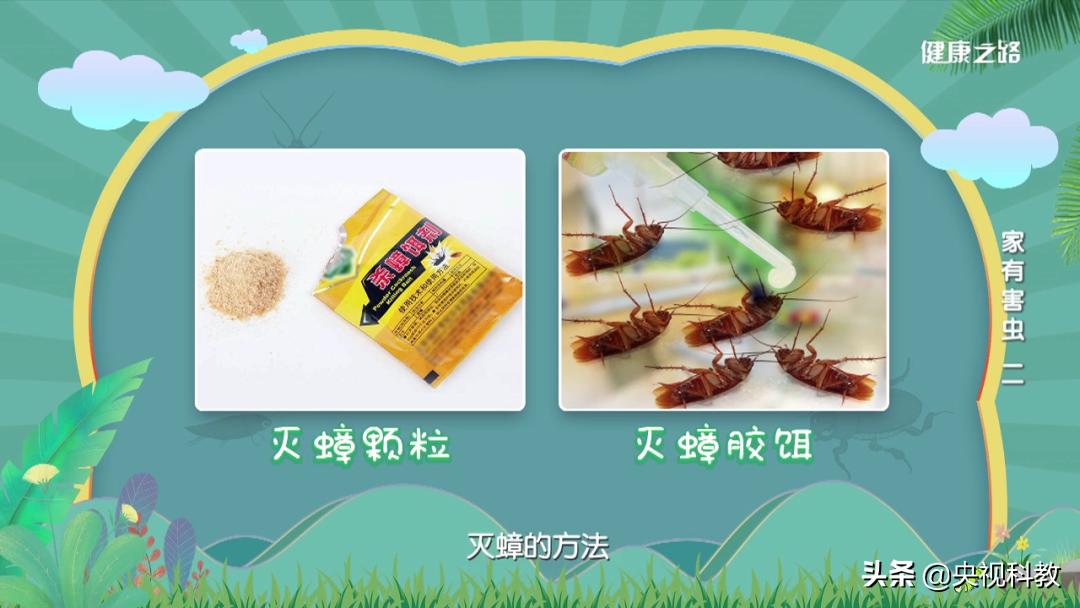 12种解决蟑螂的方法,怎么解决蟑螂最有效的方法