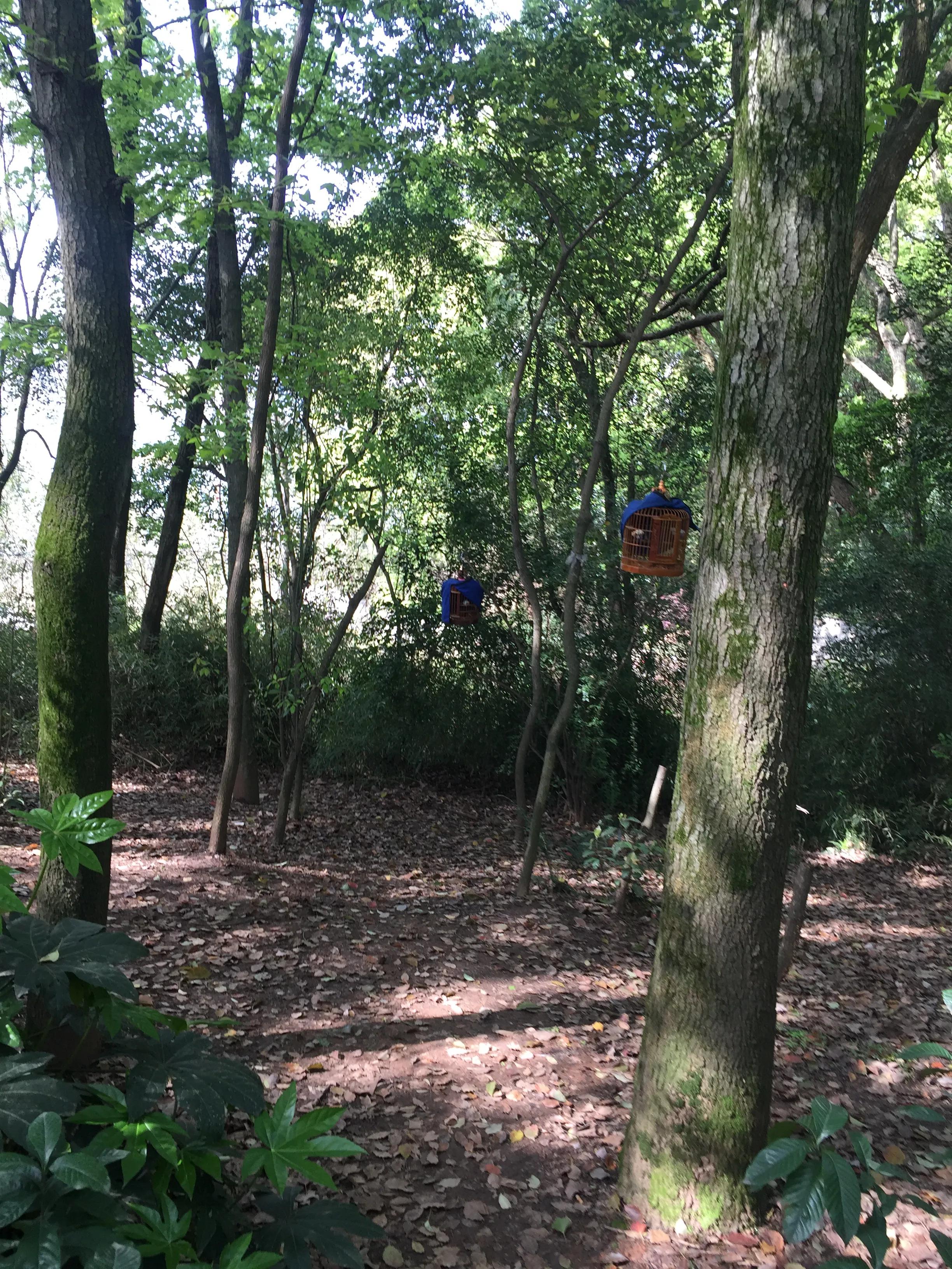 神农公园游览图怎么画简单,神农公园游乐场关门时间