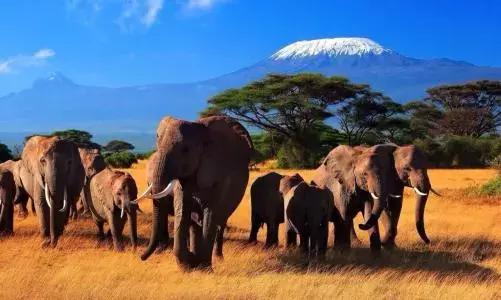 肯尼亚最值得去的地方,肯尼亚最值得去的二十个地方