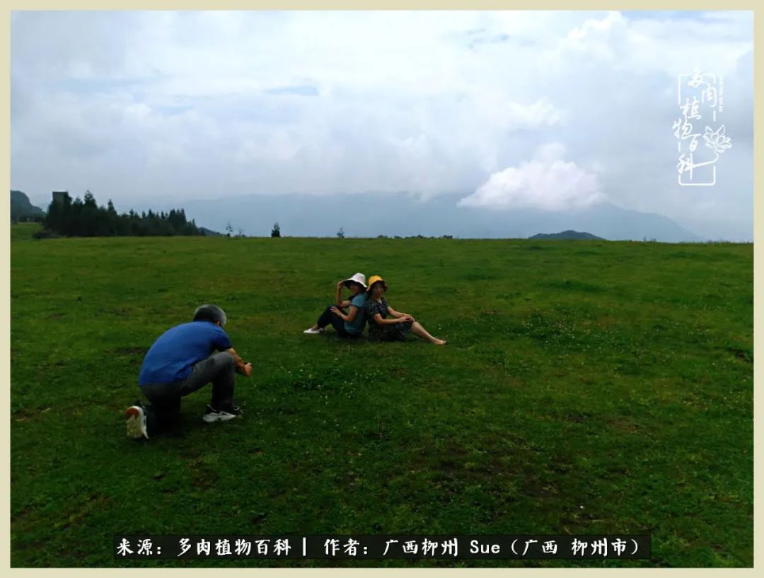艳阳高照凉爽贵州，我要勤快地捕捉美好！（二）