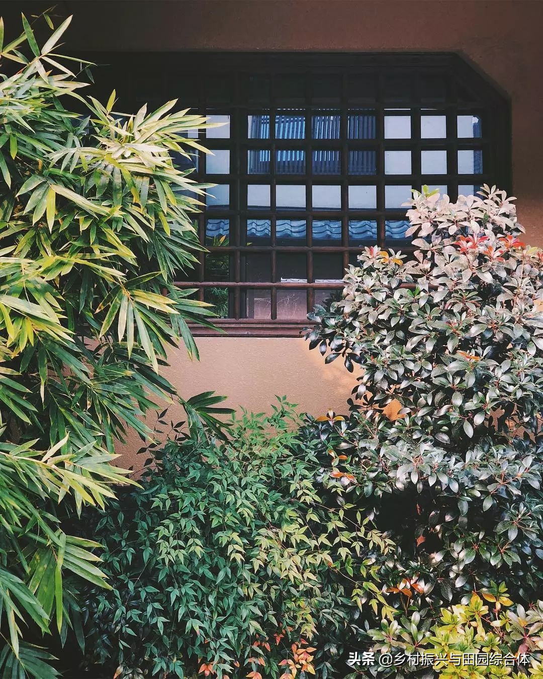 古朴悠然的禅意小镇,半农学院