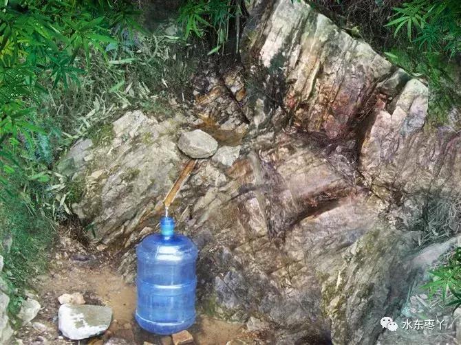 宣城本地现在还有樱桃采摘吗,宣城水东樱桃采摘