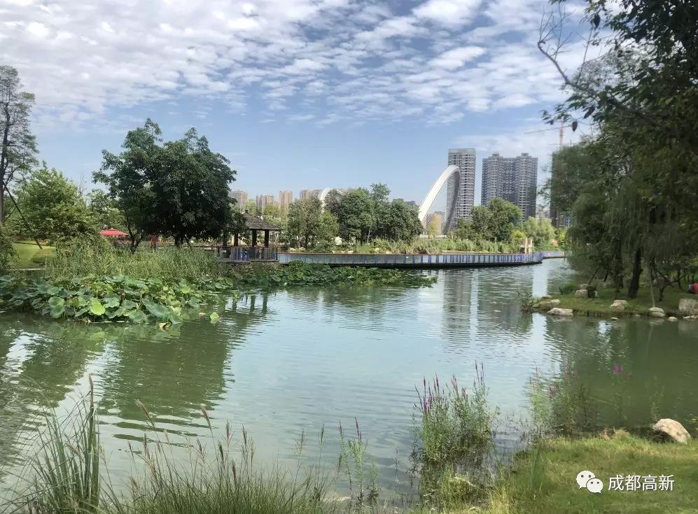 皮划艇竞速赛,成都江滩公园皮划艇