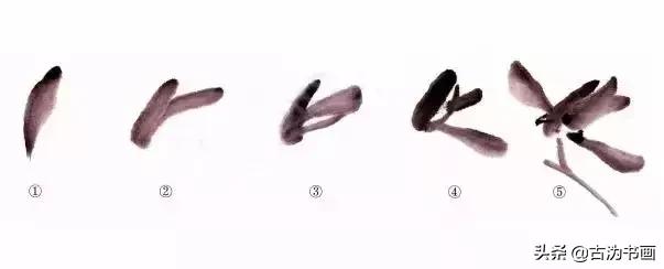 国画兰花技法讲解视频,徐湛国画兰花技法教学