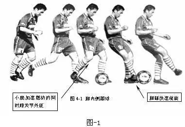 体育教学挂图动作图解,体育课动作教学