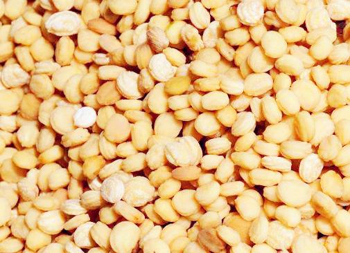 这位花友厉害了！阳台开始种人参，看了真羡慕，纷纷学习！