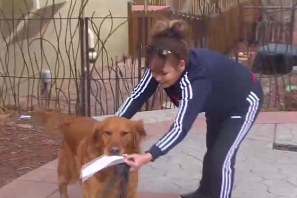 帮孤独老人送东西,帮老人买菜的狗狗