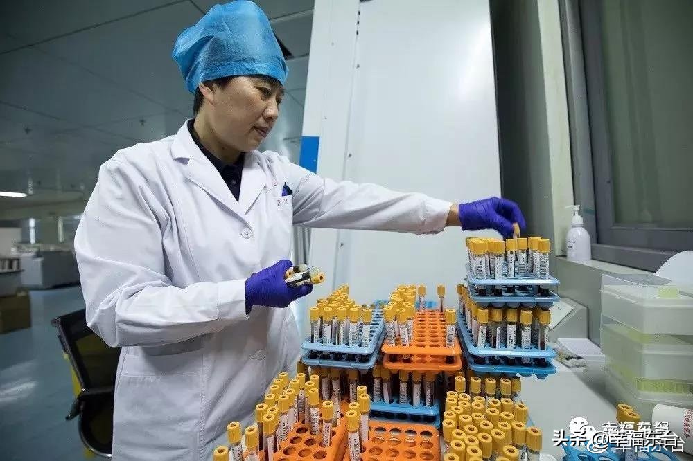 把医生装进口袋里,把医生装进口袋图片