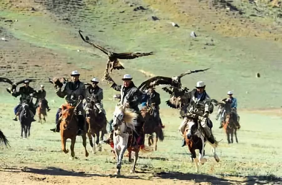 *疆新**阿合奇县：相守4000年的约定，委屈了自己，也不能饿着鹰