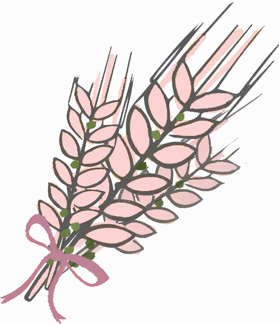 金的功用,金的功能主治