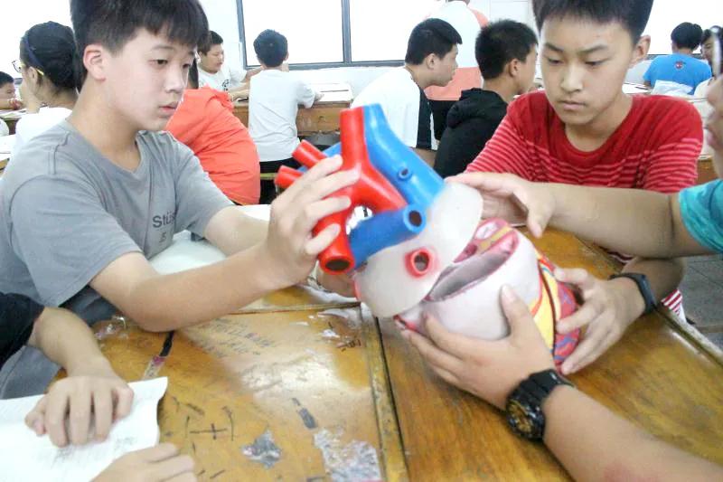 太嗨了！十足趣味+七彩梦想=百分快乐！