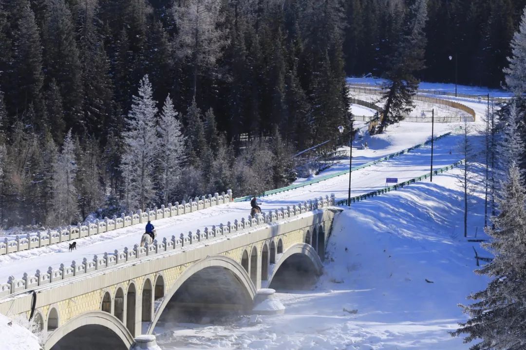 鍫瘮鐟炲+鐨勪腑鍥芥粦闆満,濯茬編鐟炲+