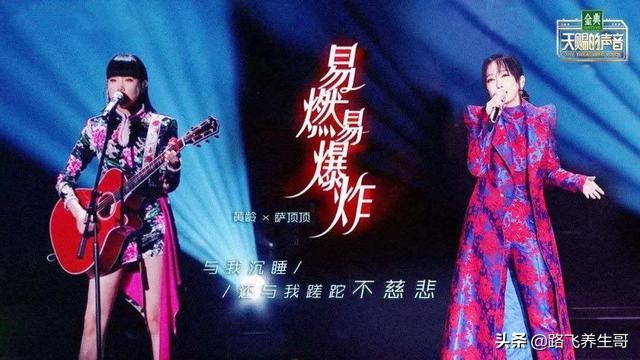 萨顶顶和丁太升对话,丁太升微博评价萨顶顶