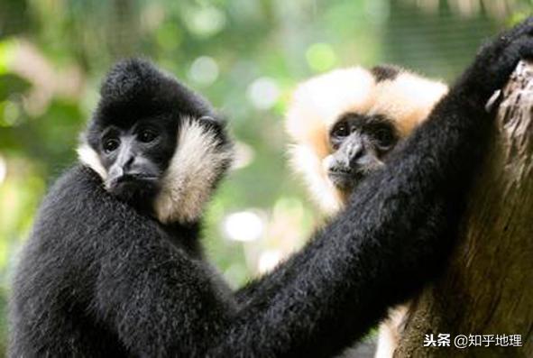 海南的地理位置和气候资料,海南省的地理位置和自然环境特征