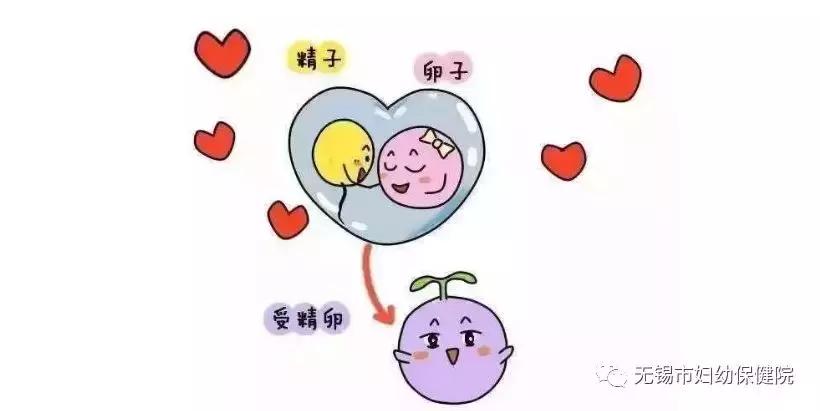 「一线医事」输卵管复通术，带你找回再次“生机”