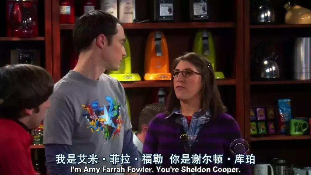 《生活大爆炸》大结局：我28岁，追了它整整9年，你呢？
