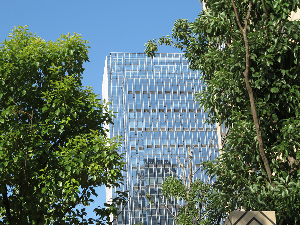 佳能g1x是微单还是卡片机,佳能g16g1x