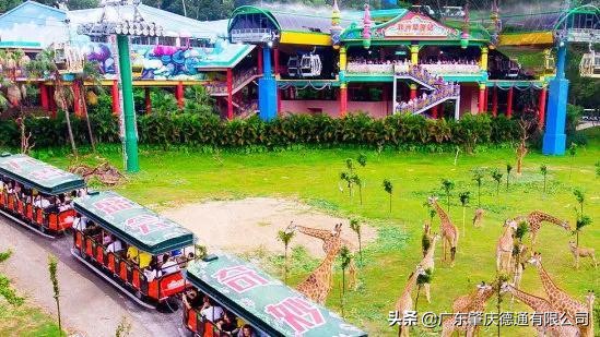 德通风扇-案例分享|广州长隆野生动物园加持德通雾化风扇