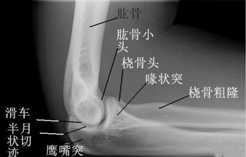 医生常用的解剖学、内外科口诀