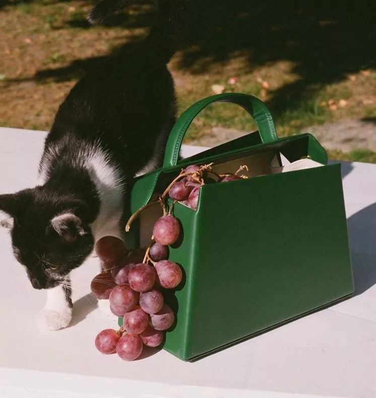 除了小ck还有哪些平价大牌包包,包包推荐小众高级感小ck送人