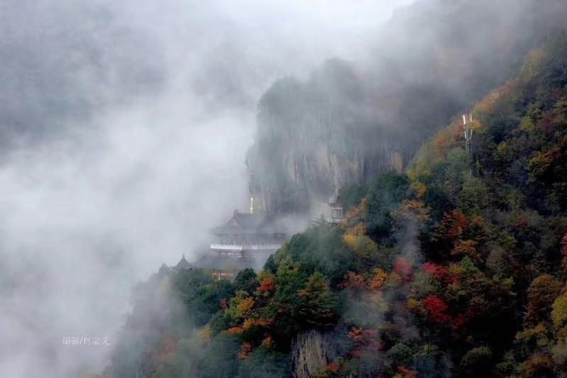 抓住秋天的尾巴走进冬天,抓住秋天的尾巴寻最后一抹金黄