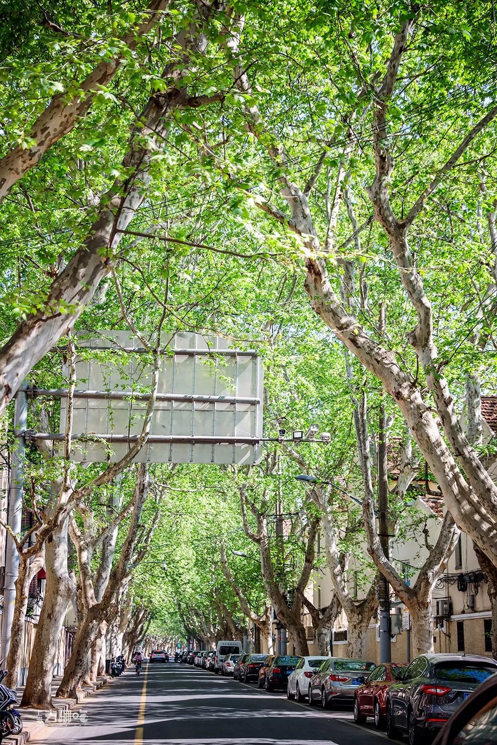 上海国庆免费景点推荐,上海值得去的免费景点旅游攻略