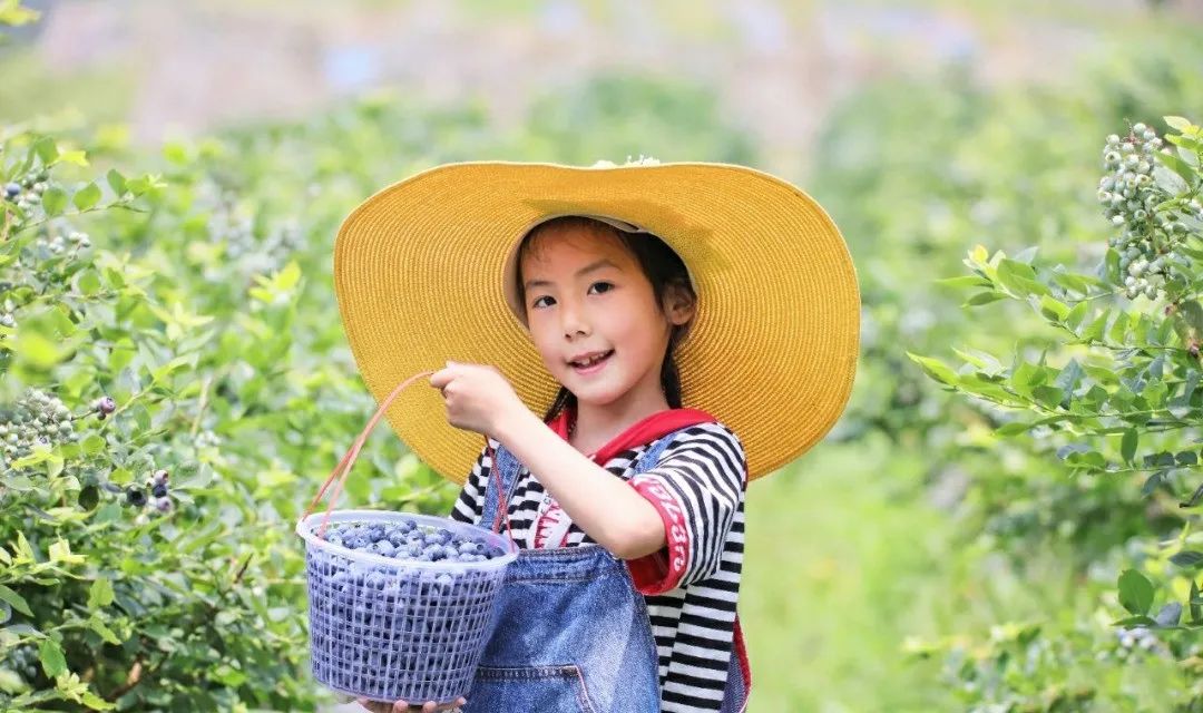 达州一座有温度的城市,达州一个有温度的城市