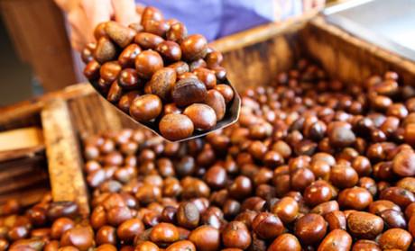 开糖炒栗子店栗子怎么储存,炒板栗店的板栗怎么保存的