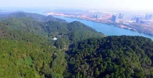 百里柳江“龙凤胎”,这块地为什么这么贵?玄机在这里