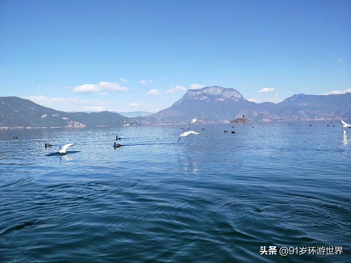 骑马正确压浪教学,骑马推浪教程视频