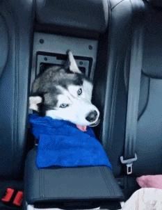 公路车搞笑gif,越野技术搞笑gif