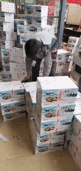 疯狂的松茸,疯狂的野生菌