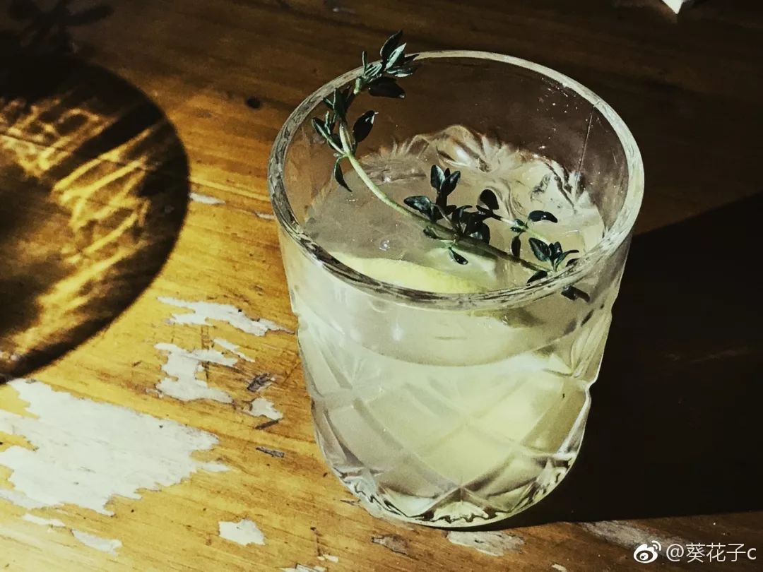 单身狗保护条例,单身狗防伤害地图指南