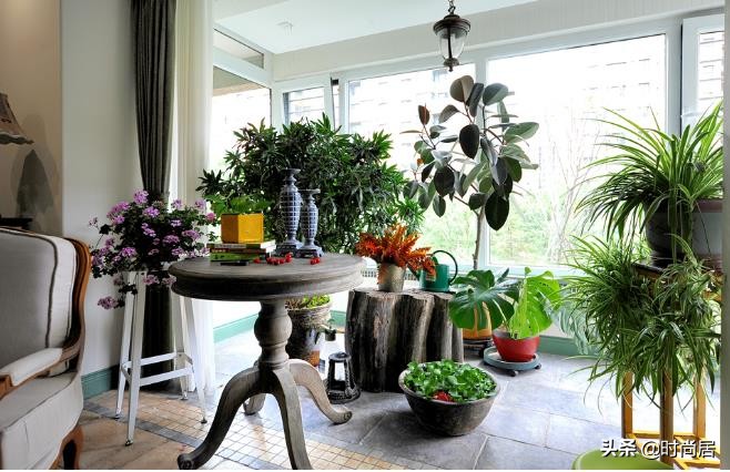 如何营造一个热带雨林花园,室内花园改造房间
