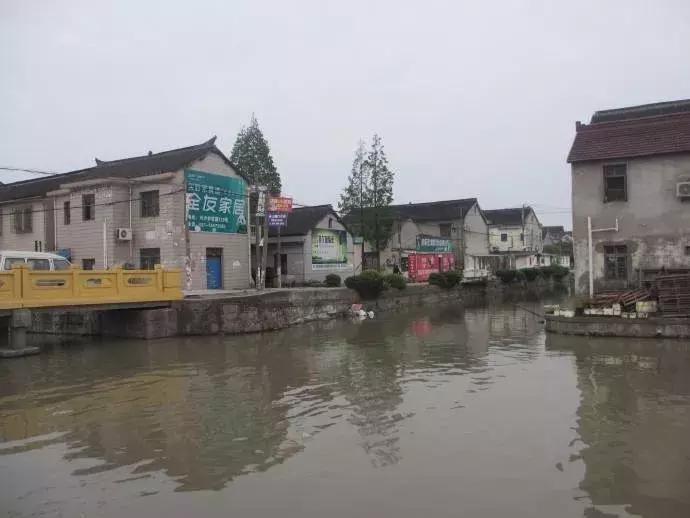 周浦镇和张江镇哪个好,周浦和唐镇哪个有潜力