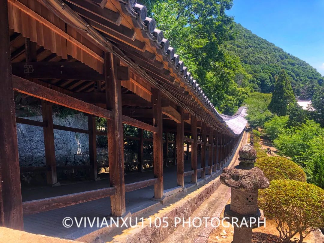 冈山和岛根,发现不一样的风景