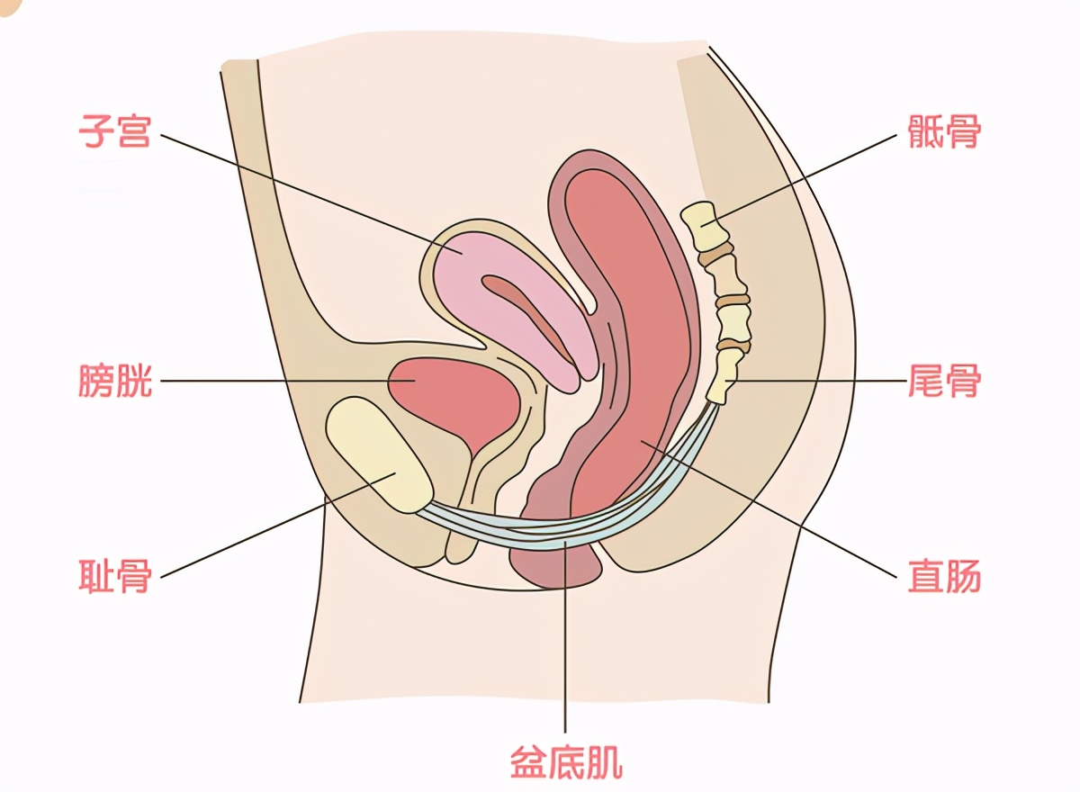 多囊卵巢综合征怎么治疗才能怀孕,糖尿病多囊卵巢综合征还能怀孕吗