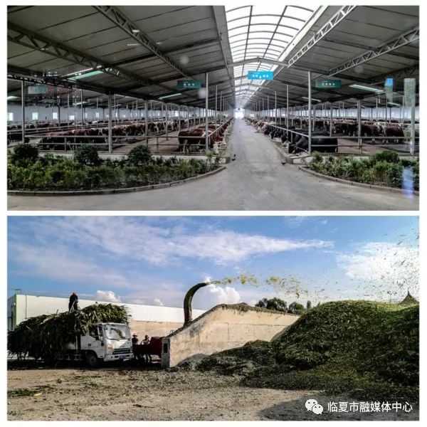 山水临夏美丽临夏,临夏青山绿水蓝天