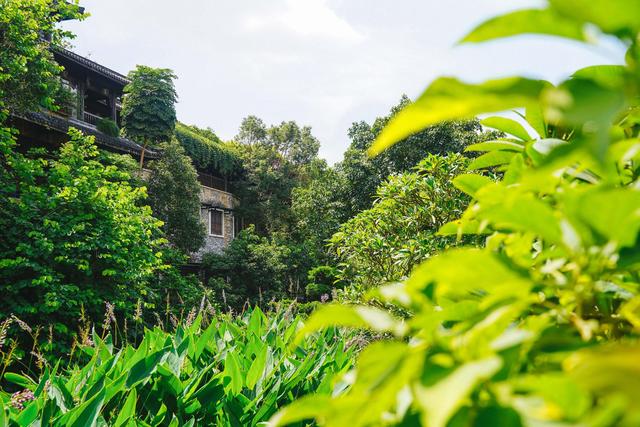 深圳古镇甘坑客家小镇值不值,深圳甘坑客家小镇今天人多吗