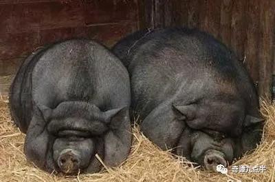 辽宁铁岭市级行政区,辽宁省铁岭城市介绍