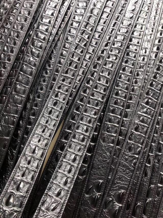 真正的鳄鱼多少钱一个,真正的鳄鱼多少钱