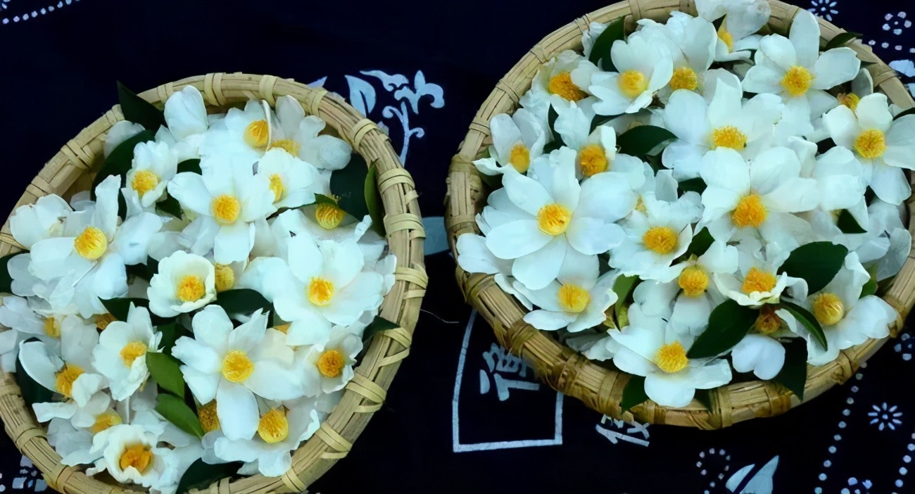 冷美人保湿精华,国货好物润肤保湿