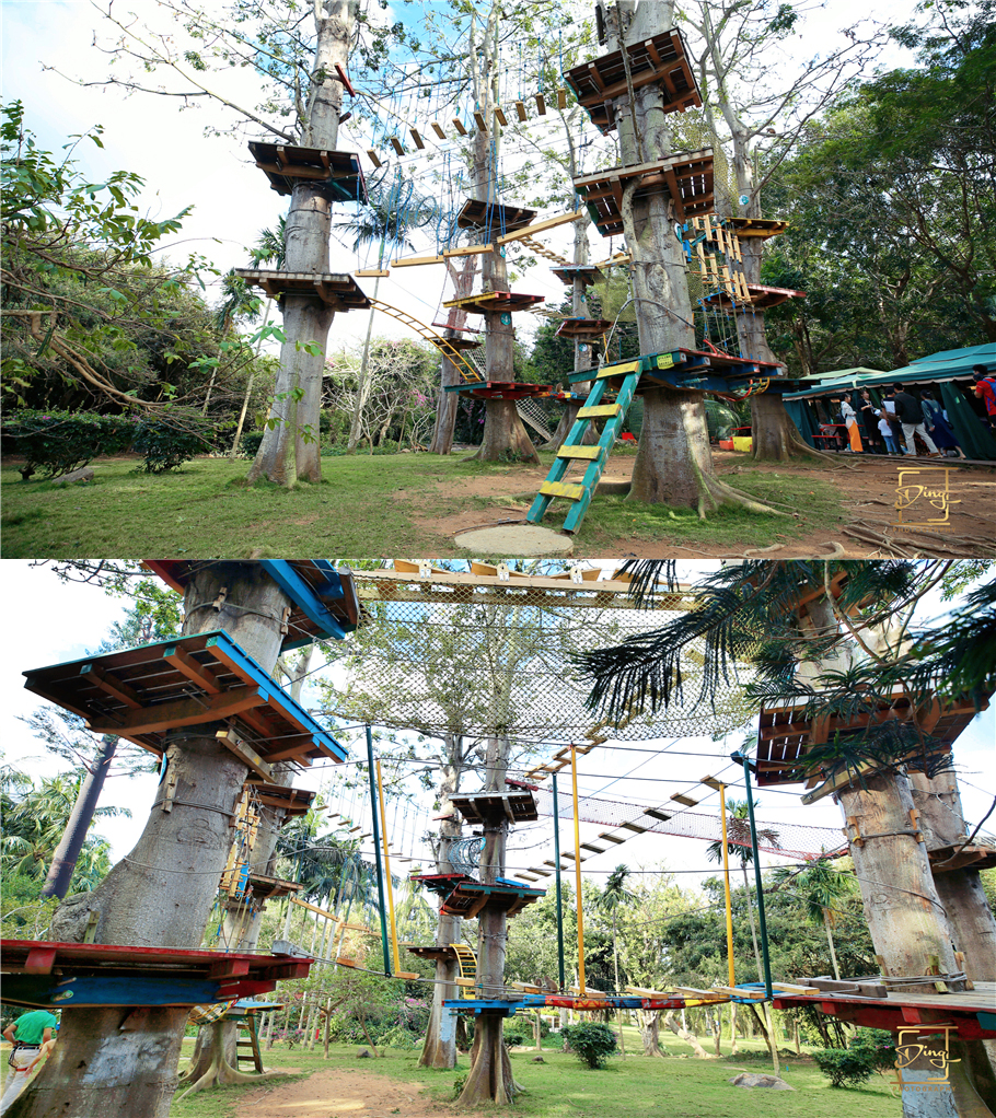 海南猴岛旅游自由行攻略,海南猴岛和呆呆岛攻略