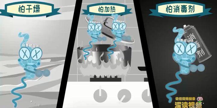 李国庆感染梅毒,李国庆谈梅毒感染是真是假